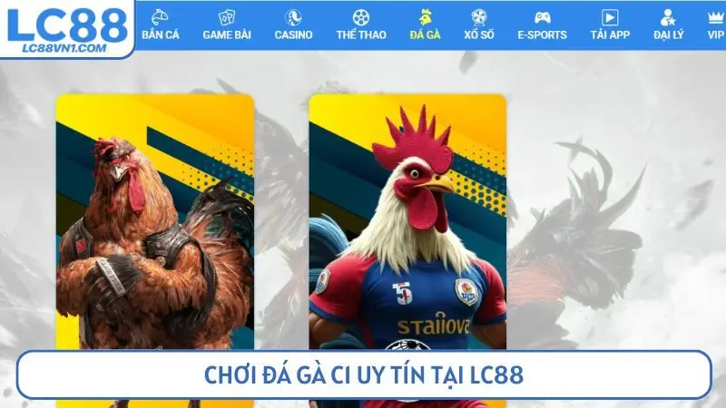 Chơi đá gà C1 uy tín tại LC88