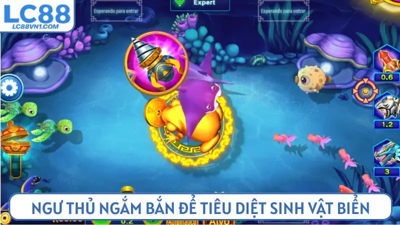 Ngư thủ ngắm bắn để tiêu diệt sinh vật biển 